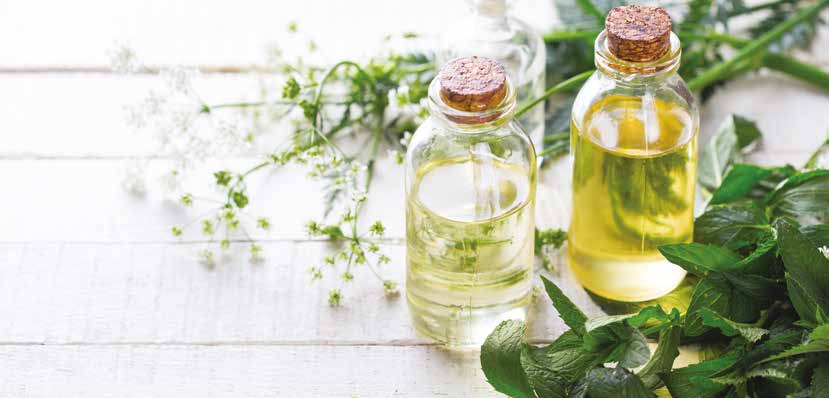 Eucalyptus mentholé : épicé, intense, aromatique, rafraîchissant 1434501FI-FR