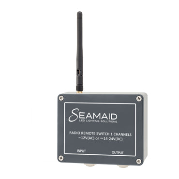 Module radio avec télécommande 1 canal (télécommande 2 boutons) 12 V