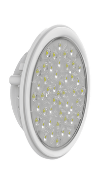 Ampoule 33 LED blanc froid