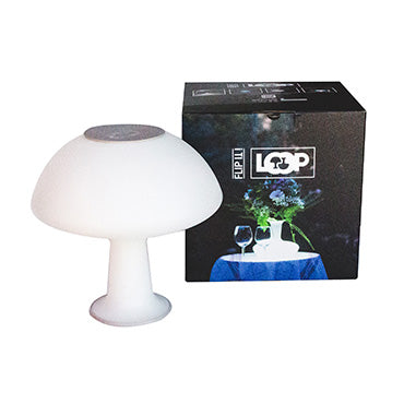 Loop Plus 20101